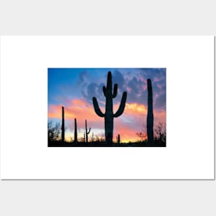 Saguaro Sunset Joshua Tree National Park Posters and Art